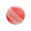 Cricket Ball